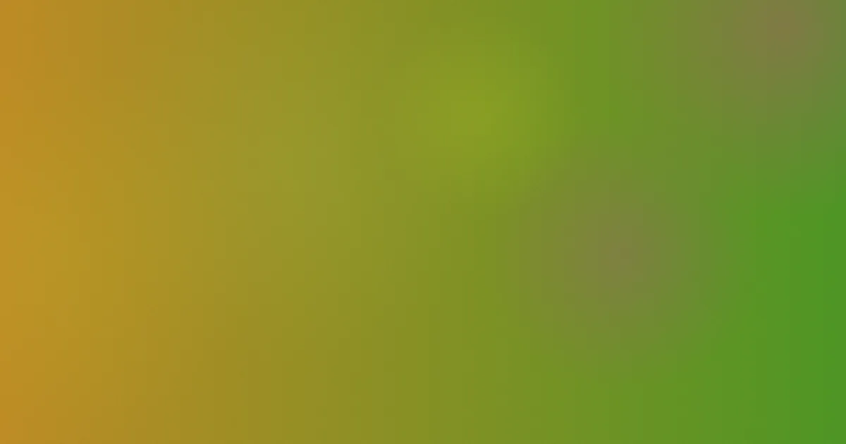欧美女星推荐新手清单